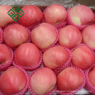 Chinesischer Export frische rote köstliche Apfelfabrik direkt getrockneter Apfel